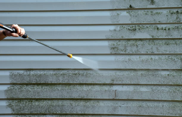 Best Attic Mold Removal  in Missouri Valley, IA
