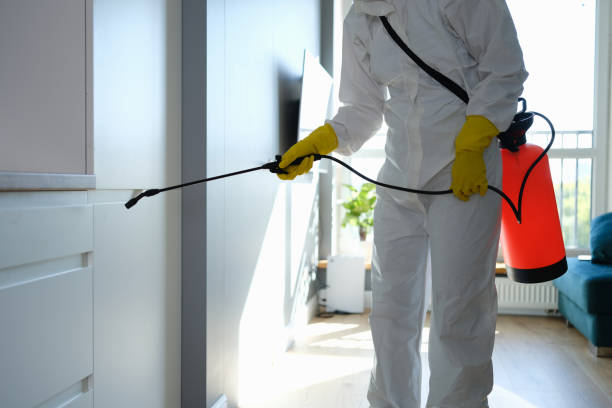 Best Mold Remediation Experts  in Missouri Valley, IA